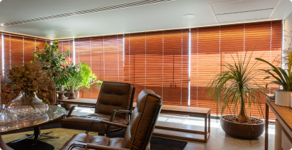 cortinas